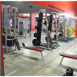 LOT OF 10 MIRRORS - 64" HIGH