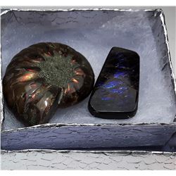 10 ) 14.5 GRAM AMMONITE FOSSIL SPECIMEN