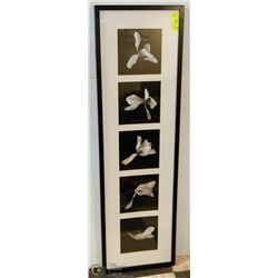 44 X 13 BLACK & WHITE FLOWER PRINT