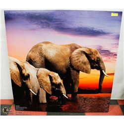 LARGE CANVAS ELEPHANT FAMILY PICTURE