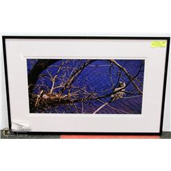 19X30 "ABOVE THE WATERS" PHOTOGRAPHY PRINT BY