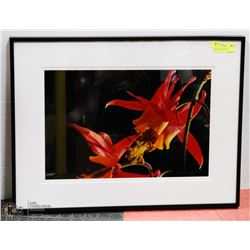 28X21 BLOOMING FLOWER PHOTOGRAPHY PRINT
