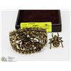 Image 1 : GOLDTONE SPIDER DESIGN AMBER CRYSTAL BRACELET &