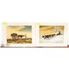 Image 1 : SET OF 2 VINTAGE COLOR PRINTS  BY ARTIST