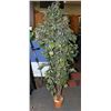 Image 1 : DECORATIVE 6' SILK PLANT