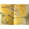 Image 1 : Marc Chagall Lithograph