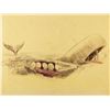 Image 1 : Monstro-Themed Aquarium Hand-Colored Concept Brownline.