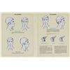 Image 2 : The "Disney Look" Employee Manual.