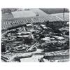 Image 1 : Aerial Photo of Disneyland from 1966.
