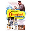Image 1 : "Disneyland After Dark" Movie Poster.