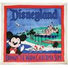 Image 1 : Disneyland Hanging Banner.
