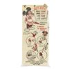 Image 2 : "Freez Ur Pop" Disneyland Popsicle Kit.