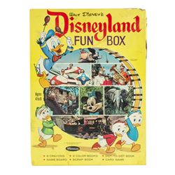 Disneyland Fun Box.