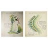 Image 1 : Pair of "Submarine Voyage" Sea Serpent Painting Guides.