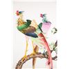 Image 2 : Chinese Hunan Province Embroidery of Pheasant