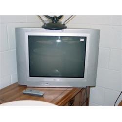 Television