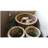 Image 2 : BOX OF PLANTERS