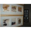 Image 3 : 2 SHADOW BOX PRINTS, FRAMED PAINTING, AND MIRROR PICTURE