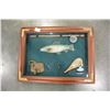 Image 2 : FISHING SHADOW BOX 3D PICTURE