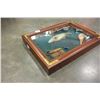 Image 3 : FISHING SHADOW BOX 3D PICTURE
