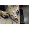 Image 4 : BULL SKULL