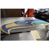 Image 1 : PAINTED SEAHAWK CARVING