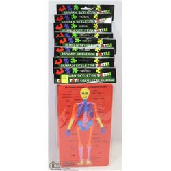 LOT OF 8 HUMAN SKELETON PUZZLES