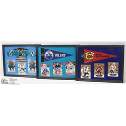 LOT OF 3 HOCKEY FRAMED CARD PICTURES, EDMONTON
