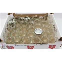 LARGE FLAT OF JELLY JARS