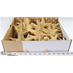 FLAT OF 36 ASSORTED SIZES STARFISH