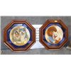Image 1 : PAIR OF 1982 LTD NATIVE COLLECTOR PLATES-ENCASED
