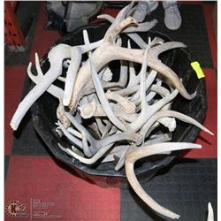 BUCKET OF SHED ANTLERS