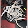 Image 1 : BUCKET OF SHED ANTLERS