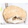 Image 1 : EXTRA LARGE QUARTZ GEODE IN TOTE