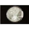 Image 1 : 1999 AMERICAN SILVER EAGLE UNC