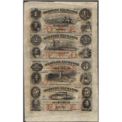 Uncut Sheet of 1857 Western Exchange Fire & Marine Insurance Co. Obsolete Notes