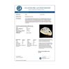 Image 3 : 1.65 CTW H-SI/I Certified Diamond Solitaire Halo Ring 10K Yellow Gold - REF-233W4F - 34461