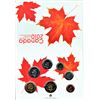 Image 3 : Royal Canadian Mint 2010 Uncirculated set of coins