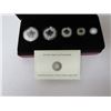 Image 9 : Royal Canadian Mint 2013 Fine Silver Fractional Set The Maple Leaf