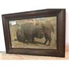 Image 2 : BYRON  HARMON  circa 1906 BISON  19” x 27” {resident  BANFF  photographer}