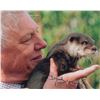 Image 2 : Jane Goodall and David Attenborough