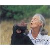 Image 3 : Jane Goodall and David Attenborough