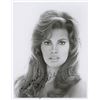 Image 1 : Raquel Welch
