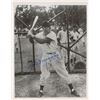Image 1 : Joe DiMaggio