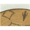 Image 6 : Apache Basket
