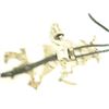 Image 8 : Zuni Inlay Bolo Tie - Eddie Beyuka (1920-2002)