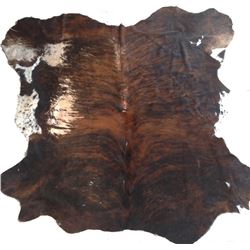 Steer Hide Rug