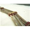 Image 4 : Sioux Choker