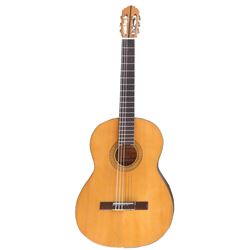Ariana Guitar
