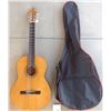 Image 2 : Ariana Guitar